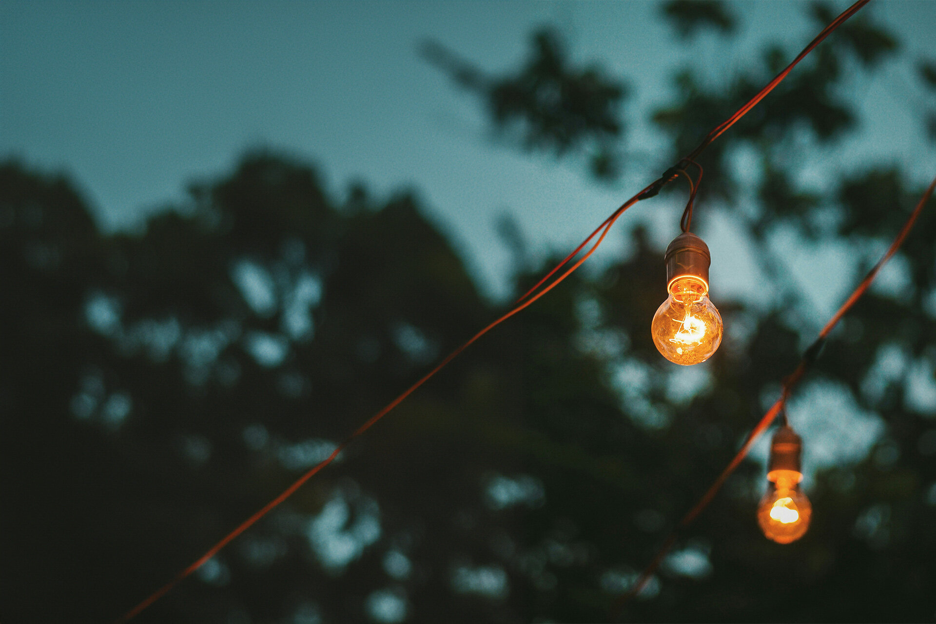 Das Bild zeigt leuchtende Glühlampen vor einem Abendhimmel | © Carson Arias/Unsplash