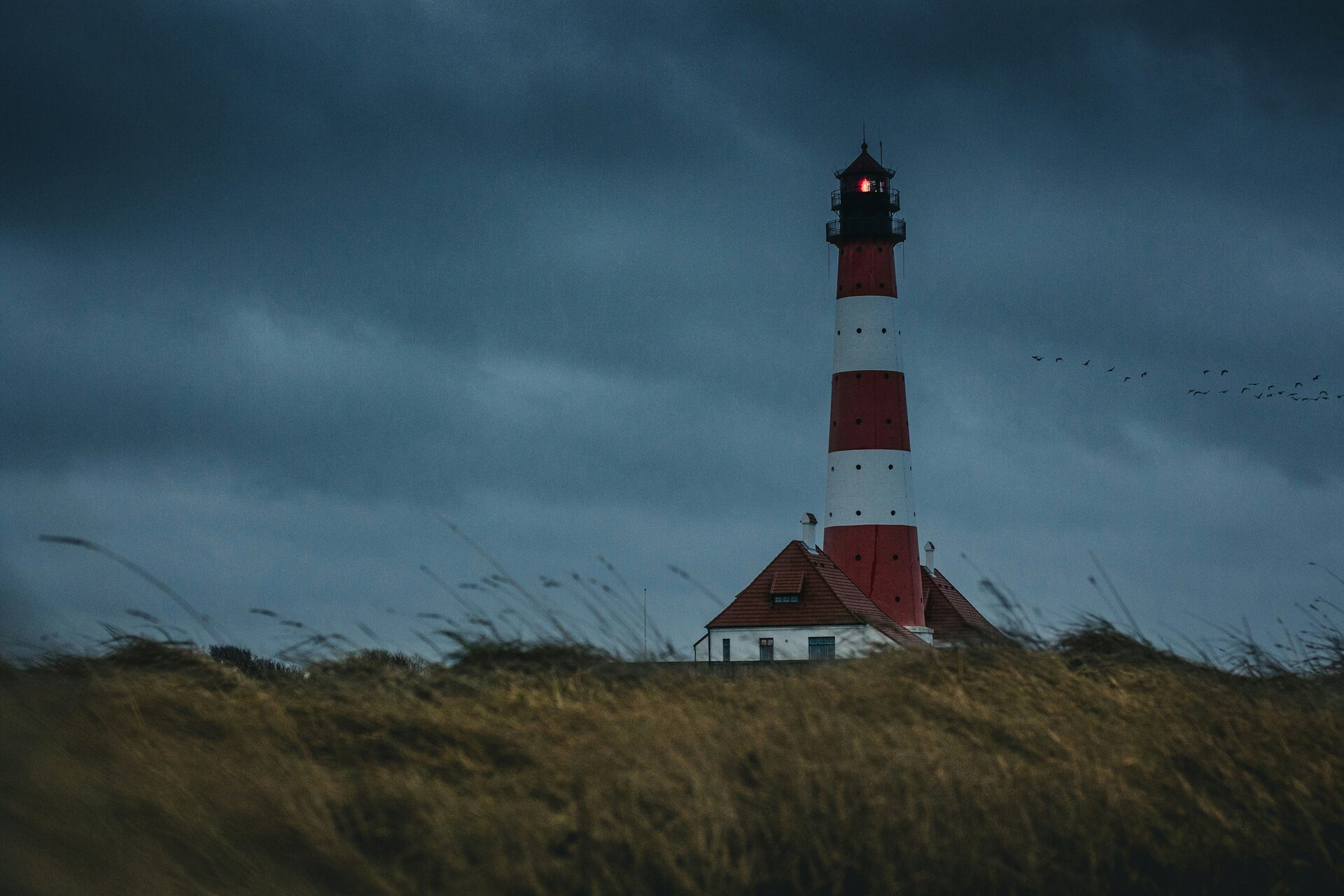 Das Bild zeigt einen Leuchtturm in der Dämmerung, im Vordergrund sieht man Gras im Wind  | © Thomas Grams / Unsplash