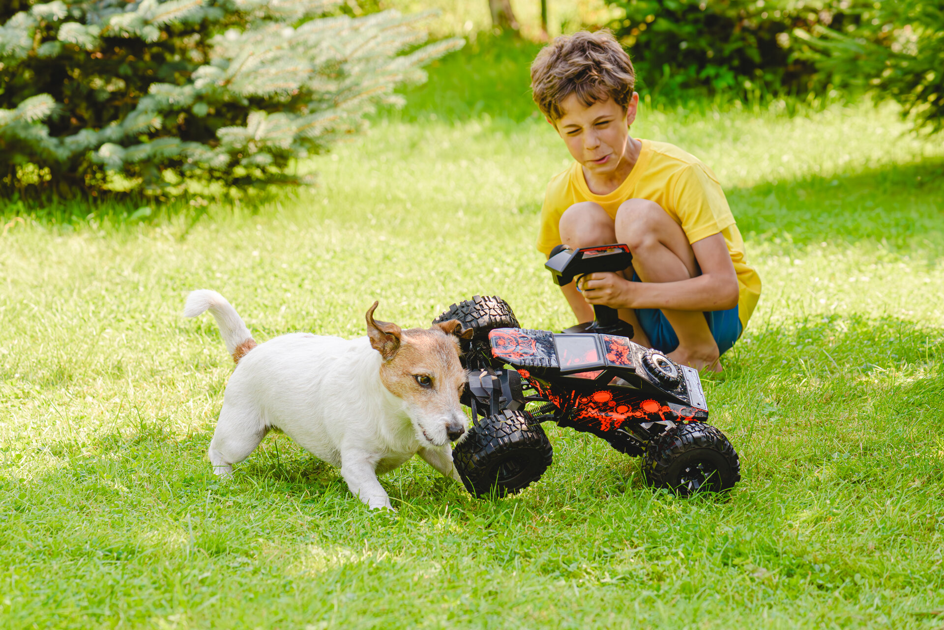 Kind mit Hund spielen im Garten